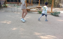 禁止十八成人无限免费观看网站